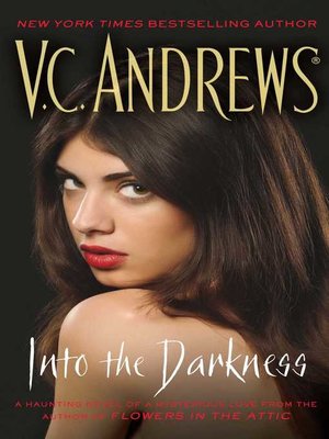 Into the Darkness - ebook